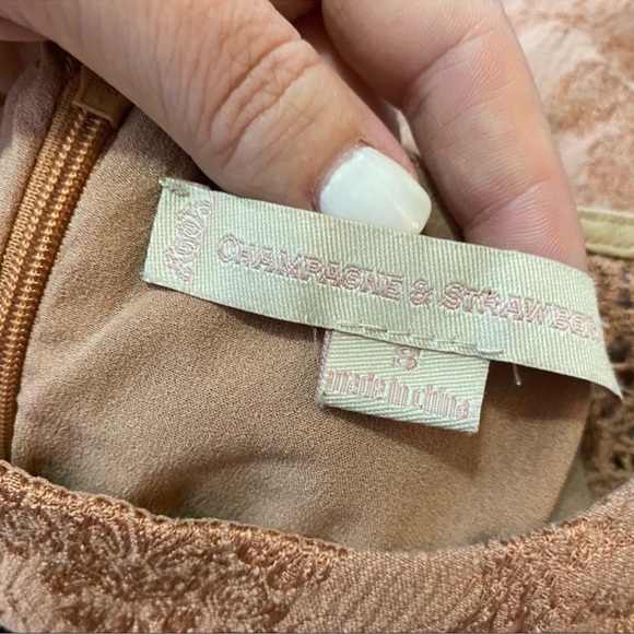 Champagne and Strawberry Anthropologie Mini Dress Color block dress - Picture 7 of 9